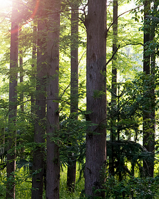 企業(yè)理(lǐ)念